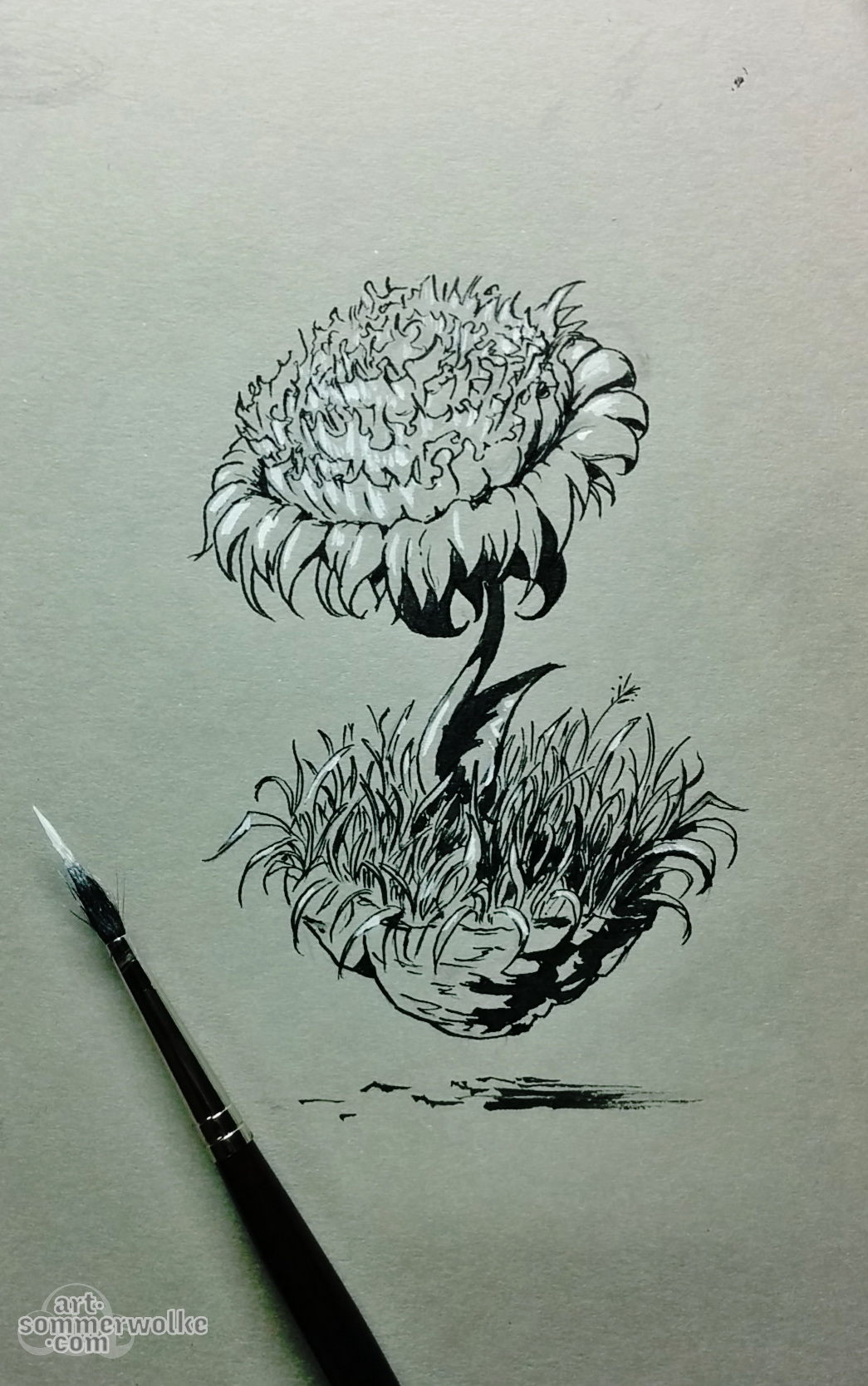 Tuschezeichnung einer schwebenden Pfingstrose. Ink drawing of a hovering peony flower.