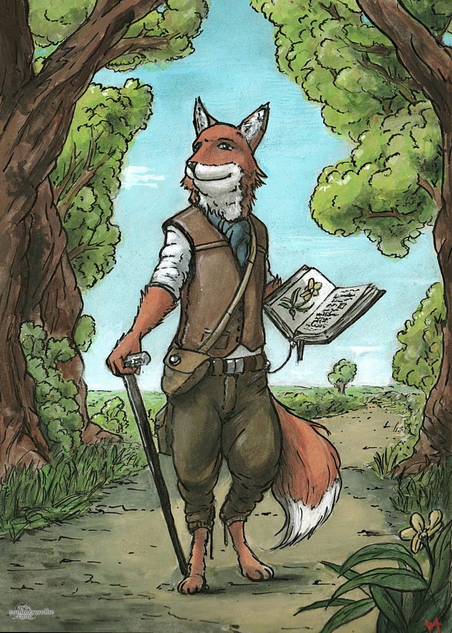 Bild eines Fuches, welcher mit Stock und einem Buch in einen Wald schreitet. Picture of a Fox, which is entering a forest with hiking stick and a book in his hand.