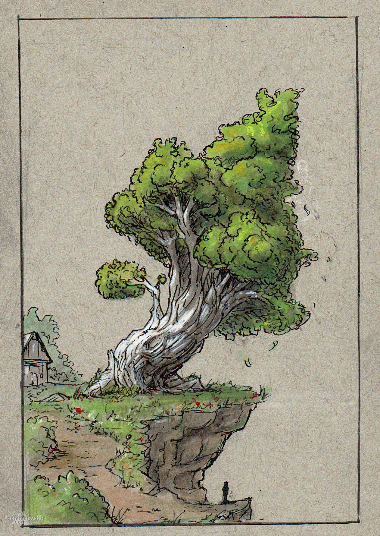 Bild eines Baumes an einer Klippe mit weißer Rinde und grüner Krone. Picture of a tree with white bark and green leafs at a cliff.