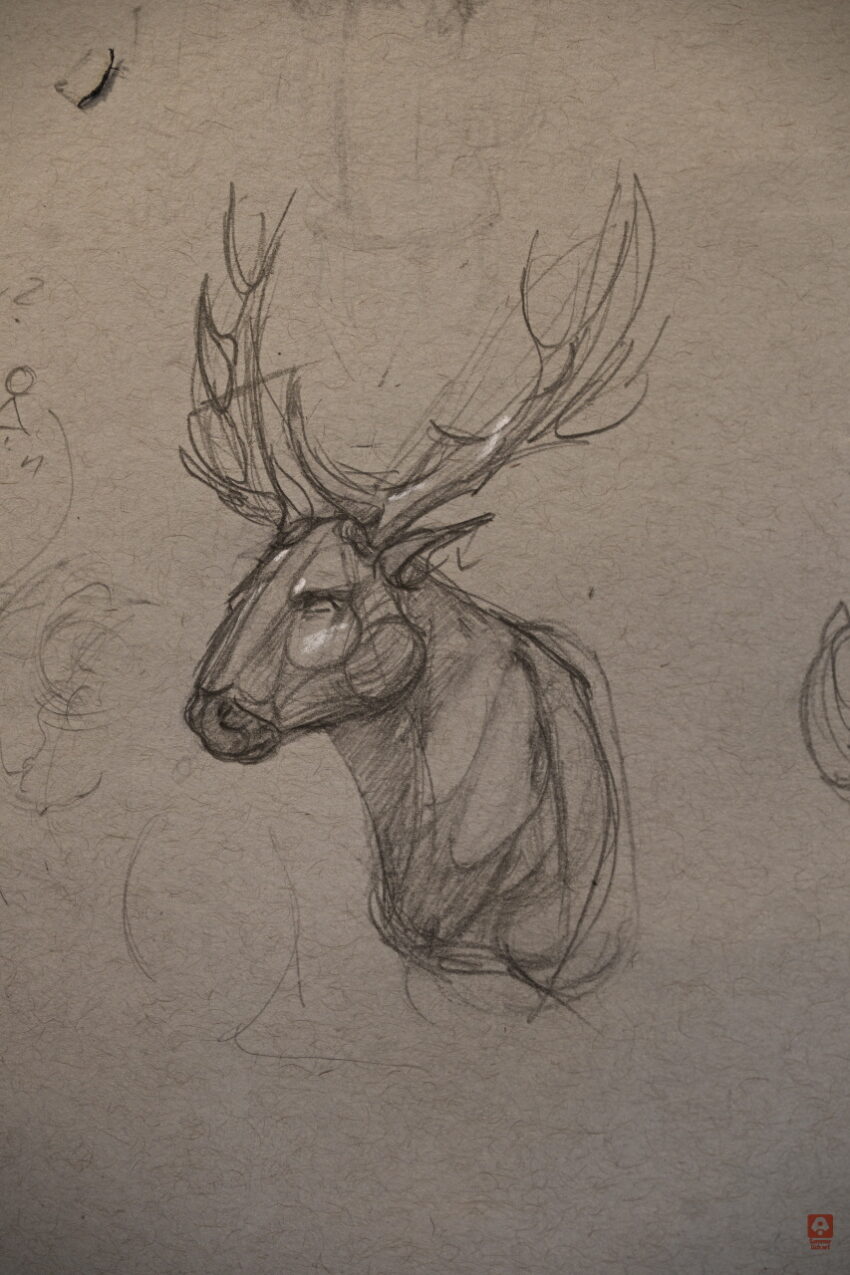 Grobe Zeichnung eines Kirschkopfs. Rough drawing of a deer head.