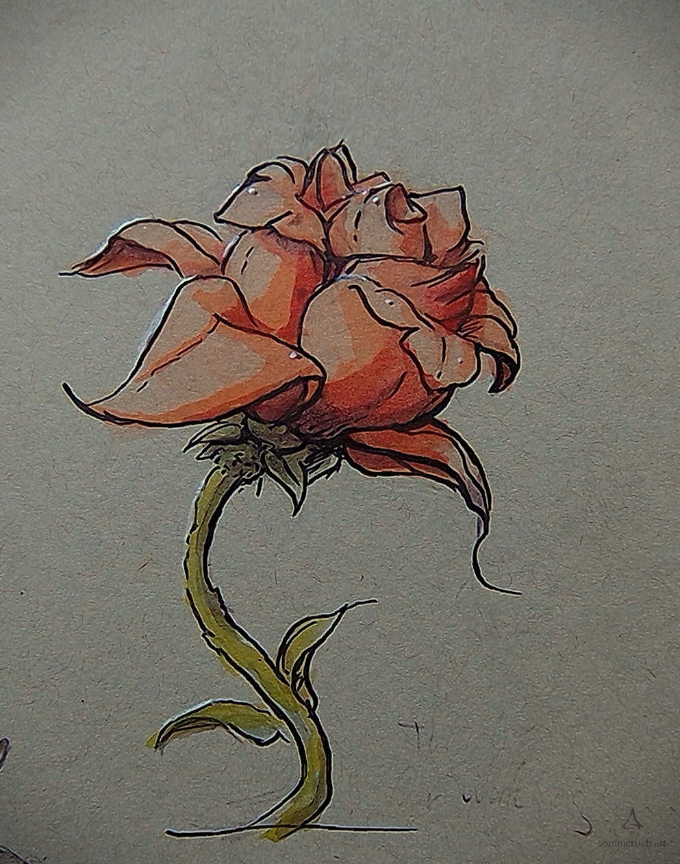 Gouachebild einer einzelnen Rose mit langen seitlichen Blütenblättern. Gouache painting of a single rose with long side petals.