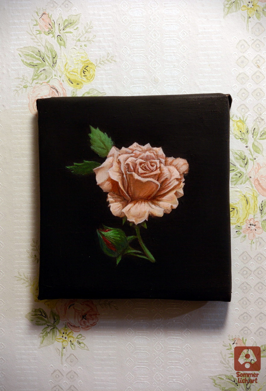 Ölgemälde einer einzelnen kleinen rosa Rose auf schwarzem Hintergrund. Oilpainting of a small single pink rose on a black background.