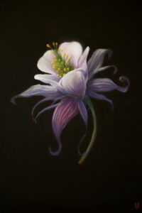 Ölbild einer frei schwebenden, weiß, violetten Blühte vor schwarzem Hintergrund.